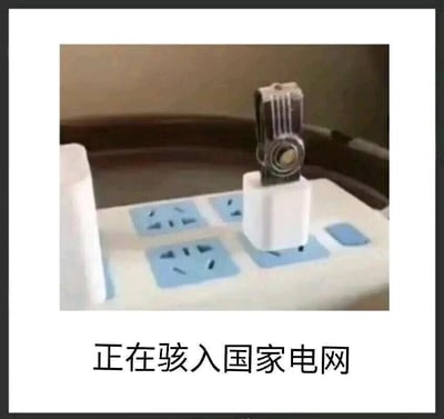这是一张趣味搞笑梗图，画面主体是一个带有多个插孔的白色插线板，其中一个插孔内插着一个白色充电头，充电头的USB接口上还插着一个金属外壳的U盘，形成了“U盘-充电头-插线板-电网”的连接链条。图片下方配有文字“正在骇入国家电网”，将黑客“骇入（入侵）计算机系统”的概念，夸张地套用在日常用电的场景中，把普通的插U盘、插充电头的行为，脑洞大开地演绎成“入侵国家电网”的操作，通过这种反差感和无厘头的创意，制造出搞笑的效果，属于网友利用日常物品组合创造的脑洞类趣味梗图。