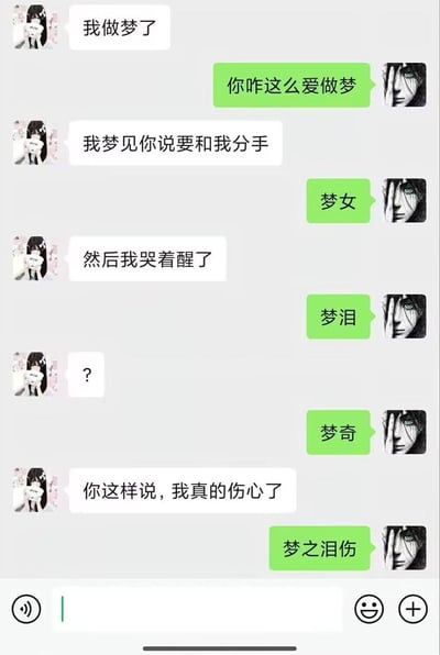 这是一张模拟聊天记录的搞笑梗图，左侧用户（头像为长发女孩与猫咪）向右侧用户分享自己的梦境：先是说“我做梦了”，接着提到“梦见你说要和我分手”并“哭着醒了”，最后表示“你这样说，我真的伤心了”。右侧用户（头像为捂脸人物）则用一系列含“梦”字的谐音梗回应，依次为“梦女”“梦泪”“梦奇”“梦之泪伤”，形成幽默反差。其中“梦泪”是知名电竞选手，“梦奇”是《王者荣耀》中的英雄角色，增加了梗的趣味性。