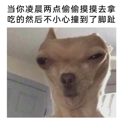 这是一张搞笑网络梗图，上方配有文字“当你凌晨两点偷偷摸摸去拿吃的然后不小心撞到了脚趾”，下方是一只面部扭曲的狗狗，它眉头紧皱、眼神痛苦又带着隐忍，完美还原了人在深夜想悄悄觅食却意外撞到脚趾时，那种想放声喊痛又怕吵醒他人，只能强行忍耐的憋屈、痛苦又滑稽的状态，精准戳中了很多人都有过的类似倒霉经历，用夸张的动物表情放大了这种日常尴尬的情绪。