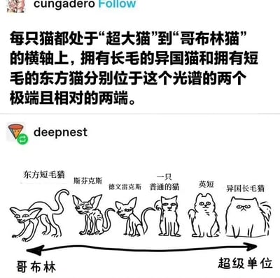 图片分为上下两部分，上方为用户'cungadero'的文字说明：'每只猫都处于“超大猫”到“哥布林猫”的横轴上，拥有长毛的异国猫和拥有短毛的东方猫分别位于这个光谱的两个极端且相对的两端。' 下方为用户'deepnest'创作的线稿示意图，展示了一条水平轴，从左到右依次排列东方短毛猫、斯芬克斯、德文雷克斯、一只普通的猫、英短、异国长毛猫的线稿形象，轴的左端标注'哥布林'，右端标注'超级单位'，以幽默的方式将不同猫种归类到这一虚构光谱上。