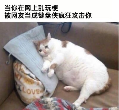 这是一张用于网络社交的表情包图片，上方配有文字“当你在网上乱玩梗被网友当成键盘侠疯狂攻击你”，图中主体是一只白棕相间的胖猫，它蜷缩在沙发的角落，身体倚靠在靠垫上，眼角挂着明显的泪痕，眼神委屈巴巴，满脸的伤心无助，生动地将人在网络上因为乱玩梗被误解、被网友攻击后的委屈、低落、无助的情绪具象化，用猫咪的可怜模样来共情这种网络社交中的尴尬遭遇，既搞笑又精准地戳中了网友的共鸣点。