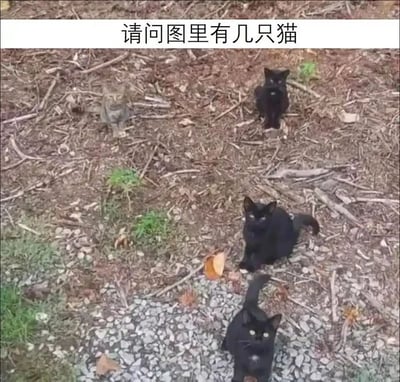 这是一张带有视觉错觉效果的静态图，图的上方配有文字“请问图里有几只猫”。画面背景是泥土与碎石混合的地面，点缀着少量杂草和落叶。图中看起来有四个类似猫咪的形象，但其中位于画面中间偏右的“黑猫”是由地面碎石、阴影和落叶组合形成的视觉假象，并非真实猫咪；真实存在的猫咪共有3只：1只浅橘色小猫蹲在画面左上方，2只黑色小猫分别蹲在画面右上方和最下方，它们都将头转向镜头方向，看起来像是在注视观看者。这张图通过视觉错觉制造趣味，引导观看者分辨真实物体与视觉假象。