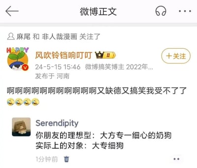 这是一张微博平台的内容截图，由微博搞笑博主“风吹铃铛响叮叮”于2024年5月15日15:46在河南发布。内容为转发用户Serendipity的搞笑段子，段子利用谐音梗制造理想与现实的反差：将朋友期待的理想型“大方专一细心的奶狗”，与实际交往的对象“大专细狗”进行对比，“大方专一细心”与“大专”形成谐音关联，打造出荒诞又搞笑的反差感。博主配文“啊啊啊啊啊啊啊啊啊啊啊又缺德又搞笑我受不了了”，并附带四个笑到流泪的表情，表达对该段子搞笑程度的认可，整体内容属于网络搞笑吐槽类，通过谐音和反差戳中大众关于理想与现实落差的笑点。