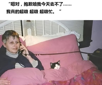 图片上方配有文字“嗯对，抱歉哈我今天去不了…… 我真的超级 超级 超级忙。”，下方是一位老人躺在床上的场景。老人盖着粉色被子，左手拿着固定电话听筒贴在耳边，表情平静放松，被子里还露出一只黑白相间的猫的头部。图片通过文字声称的“超级忙”与画面中老人悠闲卧床的状态形成鲜明反差，以幽默讽刺的方式展现了人们找借口推脱时的真实状态。