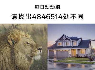 这是一张以“每日动动脑”为主题的趣味整蛊图片，采用左右对比图的形式呈现：左侧是草原环境中的雄狮侧脸实拍图，雄狮拥有浓密的棕黄色鬃毛，半眯着眼睛，平静地看向画面右侧；右侧是雨后黄昏时分的美式独栋住宅实拍图，房屋为浅灰外墙搭配深灰屋顶，门前道路湿润有积水反光，周边有绿植点缀。图片上方配有文字“每日动动脑 请找出4846514处不同”，属于整蛊内容，因为两张图是完全无关的场景，几乎没有共同元素，夸张的数字是为了制造反差笑点，引导观者发现两张图的本质差异。