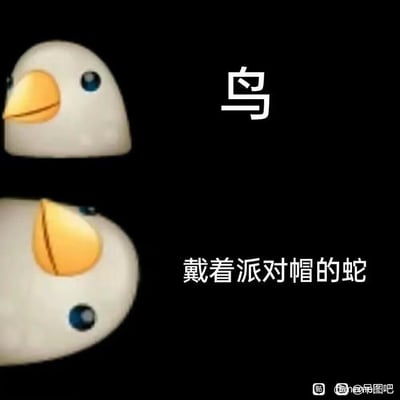 图片以黑色为背景，分为上下两部分。上半部分左侧是一个白色卡通小鸟头部特写，黄色尖喙，蓝色圆眼，右侧配有白色汉字“鸟”；下半部分展示同一白色物体的不同视角，黄色部分看起来像一顶派对帽，下方配有文字“戴着派对帽的蛇”。通过视觉错位形成趣味错觉，同一个图像可分别被解读为小鸟或戴派对帽的蛇，充满幽默感。