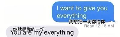 图片展示了一段浪漫的中英文对照聊天记录，包含两个对话气泡。上方蓝色气泡内容为‘I want to give you everything 我想把一切都给你’，下方灰色气泡内容为‘你就是我的一切 You are my everything’，右侧显示‘Read 12:18 AM’已读时间戳。整体画面简洁，通过中英文双语表达深情的情感交流，无谐音梗或双关含义。