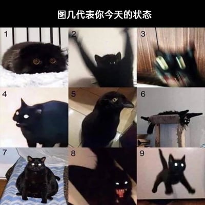 这是一张互动类的九宫格趣味梗图，顶部配有文字“图几代表你今天的状态”，图中包含九张不同的黑猫相关图片：1号是趴在垫子上眼神懵懂的黑猫；2号是高举双爪伸懒腰的黑猫；3号是因快速移动而画面模糊的黑猫；4号是因视觉错位呈现怪异形态的黑猫；5号是猫身乌鸦头的恶搞合成形象；6号是把身体搭在猫爬架上、四肢下垂的搞怪黑猫；7号是坐在垫子上眼睛反光的胖黑猫；8号是在黑暗中眼睛发光、大张嘴巴的亢奋黑猫；9号是做出类似起飞姿势、眼睛发光的黑猫。每一张图对应一种不同的精神或身体状态，供用户选择来表达自己当日的状态，风格搞笑诙谐，适合在社交平台上进行互动分享。