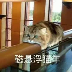 一只胖乎乎的猫咪趴在水平栏杆上，身体舒展，仿佛“悬浮”在栏杆上。图片下方配有文字“磁悬浮猫车”，通过谐音和形象比喻，将猫咪慵懒趴在栏杆上的姿态幽默地比作磁悬浮列车，营造出可爱又搞笑的效果。