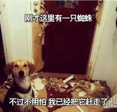 图片中一只棕黄色的狗狗正坐在一扇被撞出大洞的门前，门框和地面散落着大量木屑和碎片。上方文字写着“刚才这里有一只蜘蛛”，下方文字接着“不过不用怕 我已经把它赶走了”。通过夸张的场景对比（小蜘蛛与大破洞）制造幽默效果，狗狗一脸无辜的表情仿佛在邀功，展现了宠物行为带来的搞笑反差。