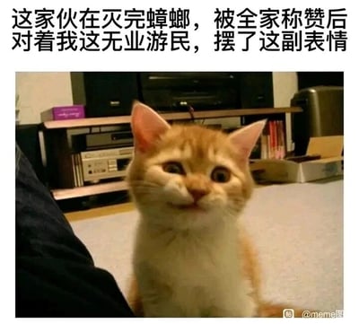 这是一张文字加注类静态单图，画面主体是一只橘白相间的猫咪，它的脸部肌肉扭曲，呈现出一种得意又嘲讽的欠揍表情。图片上方配有文字“这家伙在灭完蟑螂，被全家称赞后对着我这无业游民，摆了这副表情”，通过拟人化的手法，将猫咪塑造成“灭蟑有功、全家表扬”的“有功之臣”，与“无业游民”的主人形成鲜明反差，用幽默的方式调侃了无业人士在家庭中的自嘲心态，猫咪的欠揍表情更是放大了这种扎心又搞笑的情绪，很容易引发有类似处境的网友共鸣。