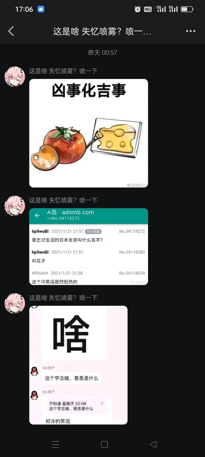 这是一段社交平台的聊天记录截图，用户使用《间谍过家家》里阿尼亚的头像，分享了三个不同的冷笑话梗图：
1. **谐音梗图**：画面是柿子、橘子，还有画芝士的画板，搭配文字“凶事化吉事”，玩“凶柿（事）化吉柿（事）”的谐音，用食物名称替换“事”字，形成谐音冷笑话。
2. **A岛论坛冷笑话**：来自A岛论坛的帖子，提问“靠乞讨生活的日本女孩叫什么名字？”，回答“叫花子”，利用“叫花子”既是乞讨者称呼，又贴合“日本女孩名字”的语境玩双关。
3. **文字循环梗**：图中大字是“啥”，用户提问“这个字念啥，意思是什么”，回复重复了该问题，利用“啥”这个字本身，形成循环式冷笑话。