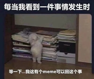 图片中一只小型白色狗狗正站立在后腿上，前爪搭在堆满书籍（或类似物品）的书架边缘，似乎在努力翻找着什么。图片上方配有文字“每当我看到一件事情发生时”，下方文字则是“等一下...我这有个meme可以回这个事”，幽默地将狗狗翻找物品的动作比喻为人们在遇到事情时，第一反应是寻找合适的meme来回应的场景，展现了网络文化中用meme表达观点的常见行为。