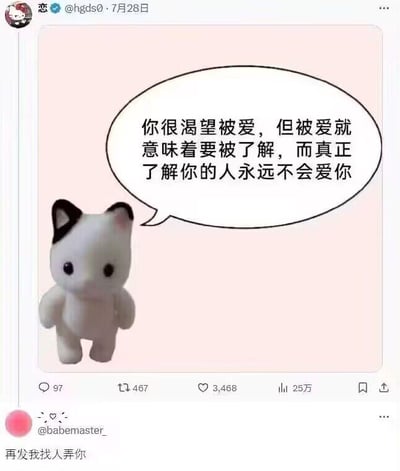 这是一张X平台（原推特）的社交媒体截图，上方是用户“恋”（@hgds0）于7月28日发布的内容：一只表情平静的白色毛绒小猫，搭配着充满消极情绪的扎心语录气泡：“你很渴望被爱，但被爱就意味着要被了解，而真正了解你的人永远不会爱你”，传递出一种自我否定、孤独的emo氛围。下方是用户“@babemaster_”的回复：“再发我找人弄你”，用强硬、硬核的语气打破了之前的emo感，形成强烈的反差，制造出搞笑的效果。