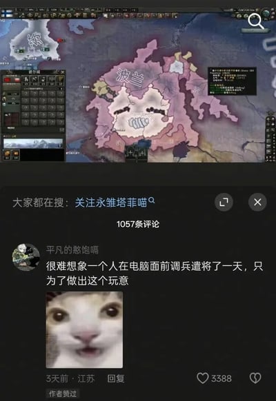 这张图是上下拼接的内容，上半部分是策略游戏《钢铁雄心4》的界面，玩家花费时间将波兰的领土边界调整成了猫脸的形状，玩梗意味十足；下半部分是社交媒体的评论区，用户“平凡的憨饱嗝”发布评论调侃玩家“很难想象一个人在电脑面前调兵遣将了一天，只为了做出这个玩意”，并配上了一张震惊表情的猫咪表情包，精准表达了对玩家这种“闲得慌”操作的吐槽。