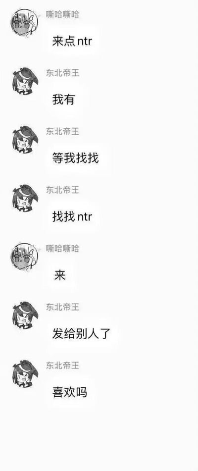 这张梗图展示了一段网友聊天记录风格的对话，内容围绕“NTR”展开。一人提出“来点ntr”，另一人回应“我有”，之后模拟“找找ntr”素材，最后把内容“发给别人”，并调侃地问“喜欢吗”，形成一种玩梗式的模拟情节，带有一定的二次元网络恶搞气质。整体对话存在夹带网络流行的二次元语境和致郁玩梗成分。

图片核心双关：通过“NTR”隐喻，表现出一种反差、调侃和‘被背叛’的戏谑心理。