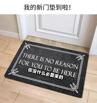 图片展示了一块新的黑色门垫，放置在白色门前方的木地板上。门垫中央有白色英文标语“THERE IS NO REASON FOR YOU TO BE HERE”，下方叠加黑色中文翻译“你没什么必要来的”。图片顶部有文字“我的新门垫到啦！”，整体呈现出一种幽默调侃的氛围，通过门垫上的标语表达了“不欢迎访客”的趣味态度。