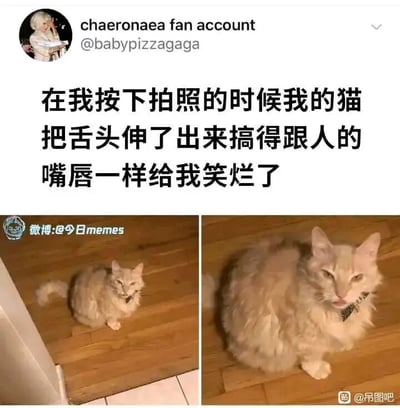 暂无描述