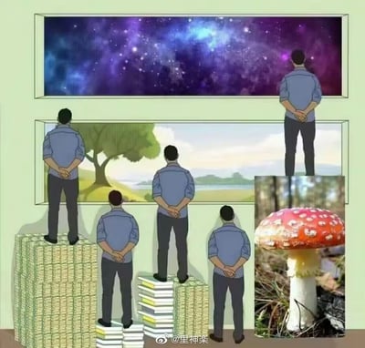 画面呈现浅绿色墙壁上悬挂两幅画作：上方为绚烂的紫色星空图，下方是宁静的山水风景图。多个身着蓝色衬衫、双手背在身后的人物分别站在不同高度的物体上观看画作——一人站在高高的钞票堆顶端仰望星空，两人站在中等高度的书本堆上，一人直接站在地面，另有一人站在稍低的书本堆上共同看向山水图。右下角嵌入一张真实拍摄的红色毒蘑菇照片，与整体卡通风格形成对比。通过人物站立高度（金钱与知识积累）的差异，隐喻不同基础对个体视野和境界的影响。