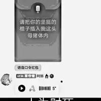 这是一张竖屏手机格式的社交媒体屏幕截图，是经过P图改编的微信口令红包界面。原本的红包提示文字被替换为露骨低俗的性暗示内容：“请把你的坚挺的棍子插入我这头母猪体内”，下方保留“微信口令红包”字样，底部还显示了微信用户ID“wxid_暴富”以及音频播放界面。这张图通过修改官方红包界面的文字，制造恶俗的恶搞效果，属于低俗类网络meme。
**暗示说明**：图中文字使用了明显的性暗示表述，通过低俗的双关和直白的露骨内容来博眼球。
