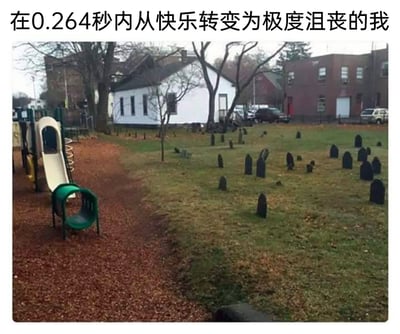 这张静态实拍图呈现了极具反差感的场景：画面左侧是配备滑梯、钻洞设施的儿童游乐区，棕色安全地垫和色彩明快的游乐设备营造出适合玩耍的快乐氛围；右侧紧邻着一片墓地，枯黄草地上散布着多座深色墓碑，氛围肃穆压抑。图片顶部的文字“在0.264秒内从快乐转变为极度沮丧的我”，精准诠释了看到这个场景时的心理变化——本以为是能带来欢乐的场所，转头发现旁边是墓地，期待的快乐瞬间转为失落沮丧，用夸张的时间数值放大了这种强烈的心情落差。