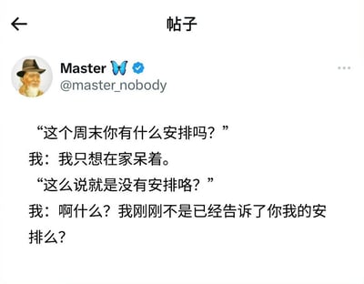 这是一张来自X（原Twitter）平台的社交媒体帖子截图，发布账号为经过蓝V认证的@master_nobody，账号昵称为Master，头像是佩戴棕色帽子的老年男性插画形象。帖子内容是一段日常对话吐槽：他人询问“我”周末的安排，“我”明确表示自己只想在家待着，对方却忽略这个回答，继续追问是否代表没有安排，“我”对此感到十分疑惑，反问对方自己明明已经告知了安排为何会被误解，内容讽刺了当下很多人默认只有外出活动才算做“安排”、不将居家休息纳入安排范畴的错误认知，贴合很多偏好安静休息的当代年轻人的生活状态，容易引发共鸣。
