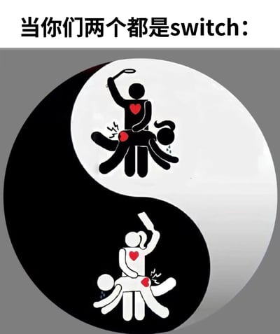 这张梗图使用阴阳符号作为背景，上方配有文字"当你们两个都是switch:"。在阴阳符号的白色部分，有一个黑色 stick figure 手持拍子击打另一个黑色 stick figure，被击打者表现出痛苦（流汗和痛苦符号）；在阴阳符号的黑色部分，则是一个白色 stick figure 以相同方式击打另一个白色 stick figure。这里的"switch"是双关语，既指游戏主机，也指BDSM文化中可同时扮演施虐者和受虐者的角色。整图通过阴阳对立统一的概念，幽默地表现了当两个人都是"switch"时可以相互转换角色的关系。