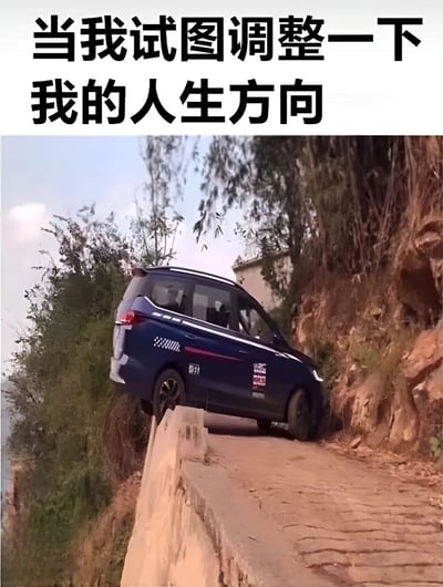 图片上方有黑色大字标题“当我试图调整一下我的人生方向”，下方是一张实拍照片：一辆蓝色面包车正行驶在狭窄陡峭的山路上，车身倾斜，一侧车轮靠近路沿，似乎正艰难地在崎岖道路上前行。通过面包车在险峻山路上挣扎前行的场景，幽默比喻了人们试图改变人生方向时遇到的困难与无奈，画面与文字结合形成强烈的反差萌和自嘲意味。