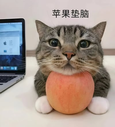 一只灰白相间的虎斑猫趴在白色桌面上，前爪捧着一个橙粉色的水果（形似桃子）垫在下巴下方，眼睛瞪得圆圆的，表情呆萌无辜。猫的左侧放着一台打开的银色笔记本电脑，屏幕显示模糊界面。图片上方配有黑色文字“苹果垫脑”，结合猫咪用水果垫下巴的姿势，形成“垫脑”谐音“电脑”的趣味梗，整体画面可爱又搞笑。