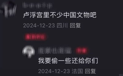 这是一张社交媒体评论区的静态截图，展示了两条来自不同地区用户的对话内容。2024年12月23日，一位标注为四川的用户留言提问“卢浮宫里不少中国文物吧”，随后一位标注为法国的用户以玩笑口吻回复“我要偷一些还给你们”，对话以轻松调侃的方式，侧面表达了对流失海外的中国文物的关注。截图中的用户头像及部分用户名做了打码模糊处理，整体界面为深色模式的评论区样式。