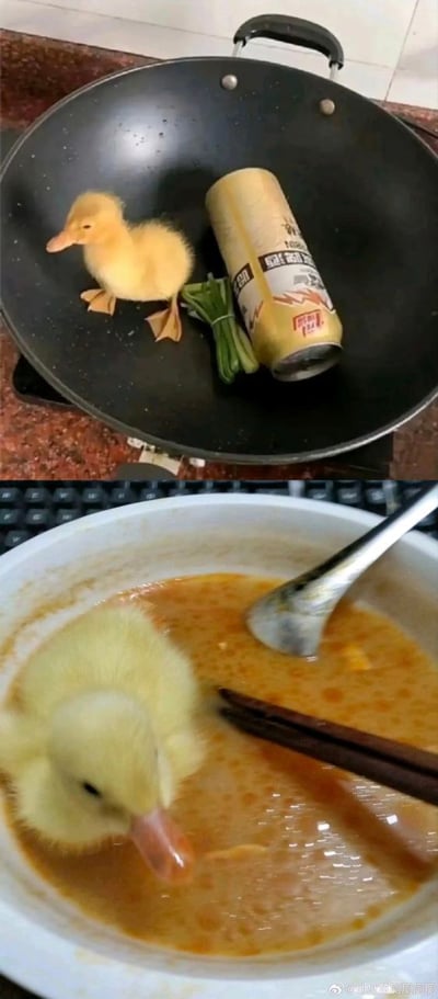 图片分为上下两部分对比呈现。上半部分：一只毛茸茸的小黄鸭站在黑色炒锅中，旁边放着一罐啤酒和一小捆青菜，仿佛即将成为“食材”；下半部分：同一只小黄鸭浸泡在橙黄色的汤里，汤中可见勺子和筷子，营造出“已被烹饪完成”的幽默场景。通过前后场景的强烈反差制造轻松搞笑的效果，属于动物主题的娱乐梗图。