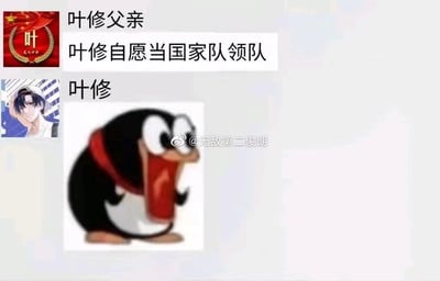 这是一张模仿社交软件聊天界面的趣味玩梗图，整体采用图文混排的形式。界面上方是标注为“叶修父亲”的发言，内容为“叶修自愿当国家队领队”；下方是标注为“叶修”的账号，搭配叶修的头像，用一张表情极度震惊、大张嘴巴的卡通鼹鼠图片作为回应。结合《全职高手》的原作设定，叶修作为荣耀职业联赛的顶尖选手，始终以站在赛场参赛为目标，对于担任领队这类脱离赛场的职务毫无意愿，这则“自愿当领队”的消息完全违背他的本心，因此用震惊的表情包精准地表现出他难以置信、抗拒的情绪，是针对原作角色设定的二次趣味创作，充满反差感和搞笑效果。