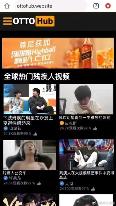这是一张模仿视频网站OTTO Hub界面的恶搞P图，将山泥若、皮克斯、许昊龙、大司等多位电竞主播的截图，配上恶意调侃的低俗标题，把他们恶搞成「残疾人」相关的视频内容，属于电竞圈粉丝的玩梗创作。
注：图中标题均为恶搞调侃，无实际对应低俗内容，是针对主播的黑梗玩梗。