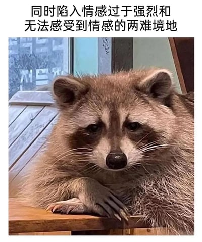 这是一张顶配底文类的静态单图，画面主体是一只趴在木质台面上的浣熊，它眼神低垂，表情忧郁疲惫，两只前爪交叠放在台面上，神态十分低落。图片上方配有文字“同时陷入情感过于强烈和无法感受到情感的两难境地”，用浣熊贴合人类低落情绪的神态，具象化了这种矛盾的情感困境，精准戳中当代人在情感体验上的割裂感，容易引发观者的情绪共鸣。