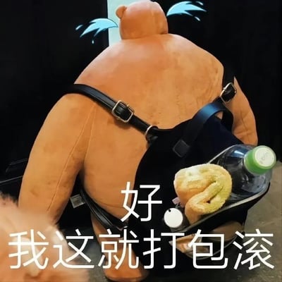 图片展示了一个棕色大型熊玩偶的背影，玩偶身上背着一个黑色背包，背包敞开着，里面装有一个金黄色的面包、一个带绿色瓶盖的透明水瓶和一个白色小容器。图片底部有白色文字叠加：“好 我这就打包滚”，整体营造出一种幽默表达准备迅速离开的场景。