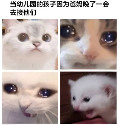 图片上方配有文字'当幼儿园的孩子因为爸妈晚了一会去接他们'，下方是2x2网格排列的四张猫咪照片。第一张猫咪睁着圆溜溜的大眼睛，表情似乎带着期待；第二张是猫咪的特写，眼神委屈，眼眶微湿；第三张猫咪嘴巴微张，像是在小声抱怨；第四张是一只幼猫张大嘴巴，仿佛在放声大哭。通过猫咪的不同表情，幽默地模仿了幼儿园孩子等待父母晚接时的情绪变化，从期待到委屈再到哭闹的过程。