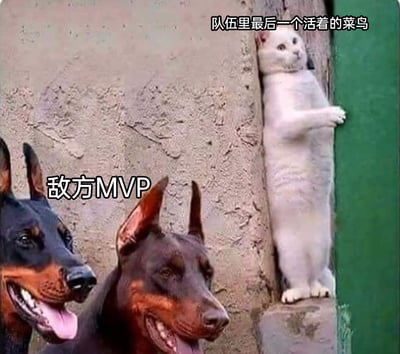 这是一张以游戏对局场景为灵感创作的搞笑梗图，画面中用两只神态兴奋、看起来充满压迫感的杜宾犬代表“敌方MVP”，它们正看向右侧；右侧的白猫紧贴在墙角，身体紧绷、神态局促，代表“队伍里最后一个活着的菜鸟”。通过动物的姿态和表情，生动还原了游戏中队友全部被淘汰后，仅剩的新手玩家面对敌方强力对手时紧张、无助又窘迫的处境，用动物形象的反差制造出搞笑的效果，容易引发游戏玩家的共鸣。