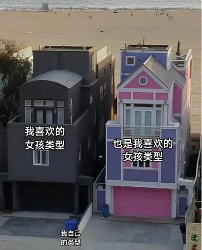 图片展示了海边相邻的两栋房屋，左侧是深灰色调的简约建筑，右侧是粉紫相间搭配白色装饰的彩色房屋，背景可见沙滩、海浪及远处的人影。图片通过文字幽默表达：左侧房屋标注“我喜欢的女孩类型”，右侧房屋同样标注“也是我喜欢的女孩类型”，底部则写着“我自己的类型”，形成对恋爱偏好多样性与自我认知的轻松调侃，暗示喜欢的类型多样但自身有独特属性。
