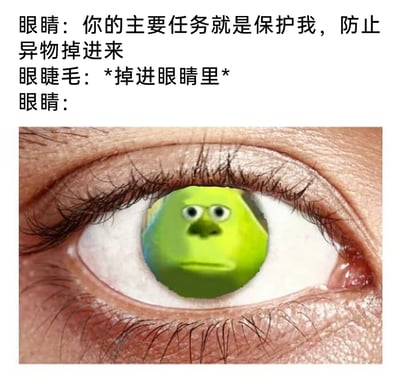 这是一张结合文字与P图的搞笑梗图，聚焦生活中常见的“眼睫毛掉进眼睛里”的小困扰。上方文字构建了一段趣味对话：眼睛向眼睫毛下达“保护自己、阻挡异物”的任务，结果眼睫毛反而自己掉进了眼睛里；下方图片将《怪物电力公司》中的单眼角色麦克·华斯基改编为双眼的无语愤怒表情，并P在真人眼球位置，生动传递出眼睛此时无语、气闷又无奈的情绪，精准戳中人们被这类小意外困扰的日常体验，用夸张的方式制造笑点。