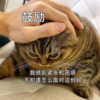 这是一张文字加注类的静态表情包，画面主体是一只神情低落、眼神局促的狸花猫，它趴在平面上，一只手正抚摸它的头部，手的上方标注着“鼓励”字样；猫咪下方配有文字“我感到紧张和困惑，不知道怎么面对这份好”。图片通过猫咪丧丧的神态与文字内容结合，精准地刻画了人们在突然收到他人的善意或关注时，内心局促不安、不知如何回应的情绪，很容易引发社恐人群或不擅长应对善意的人的共鸣。