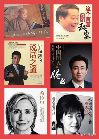 这是一张由六本知名人物相关书籍封面组成的拼贴图，书籍主角包括曾风光的宗庆后、毕福剑、许家印、希拉里、朴槿惠以及一位僧人。这些人物在书籍推出时都有着光鲜的身份与“成功”标签，但后续均遭遇了事业或人生的重大挫折，图组通过这种强烈的反差，以反讽的方式玩梗，调侃这些曾经的“范本人物”最终的境遇反转，充满讽刺趣味。