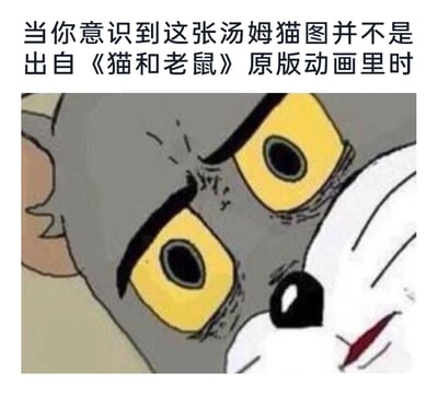 这是一张图文混排的表情素材图，上方配有文字“当你意识到这张汤姆猫图并不是出自《猫和老鼠》原版动画里时”，下方是汤姆猫的脸部特写：它双眼圆睁，眉头紧皱，眼神里充满了震惊与不敢置信，用这个形象精准地表现出人们发现自己一直以为是原版动画的表情包居然是衍生创作时的错愕心情，画面极具共鸣感，适合用来表达得知认知偏差后的冲击情绪。