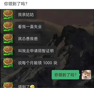 这是一张聊天记录截图，展示了用户使用向日葵表情和Doge表情的对话。向日葵用户提到自己失业，姑姑怂恿爸爸让其申请弱智证明以每月领取1000元，最后回复领到了。对话充满幽默和讽刺意味。