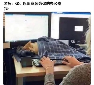 这是一张充满趣味的职场搞笑梗图，图片上方配有对话文字，老板表示允许员工随意装饰自己的办公桌，而“我”的做法则是将一只橘猫安置在办公桌上：猫咪盖着格子毯子，趴在鼠标垫上，眼神慵懒困倦，正安心睡觉；员工则在猫咪旁的键盘上正常打字办公，把猫咪当作了自己办公桌的“特殊装饰”。这种对“装饰办公桌”的另类解读，用反差感制造出十足的笑点，既体现了打工人对宠物的喜爱，也展现了职场中轻松诙谐的摸鱼日常。
