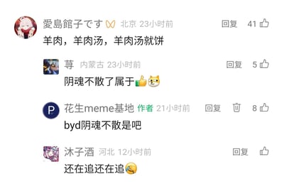 这是一张社交媒体评论区的静态截图，来自账号“花生meme基地”的内容评论区。用户“愛島館子です”发布了“羊肉，羊肉汤，羊肉汤就饼”的内容，随后用户“荨”用“阴魂不散了属于👍😼”进行吐槽，账号作者“花生meme基地”使用网络俚语吐槽“byd阴魂不散是吧”，用户“沐子酒”接着调侃“还在追还在追😹”，整体是围绕重复提及羊肉相关内容展开的趣味玩梗互动，充满了网友间轻松戏谑的氛围。