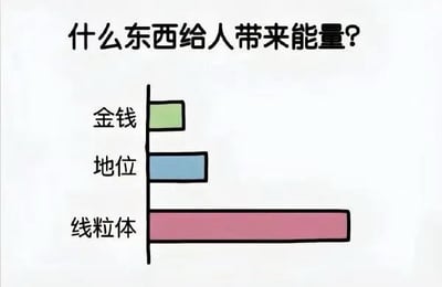 这是一张搞笑梗图，以横向条形图的形式呈现内容，图顶部提出问题“什么东西给人带来能量？”，一共列出三个选项：金钱对应最短的绿色条形，地位对应长度中等的蓝色条形，线粒体对应远超前两者的超长粉色条形；该图玩生物学知识梗，线粒体被称为细胞的“能量工厂”，是生物体内负责产生能量的结构，用这种反差制造笑点，结合标题“ATP：我呢”进一步玩梗，ATP是细胞内的直接供能物质，同样没出现在图内的选项榜单里。