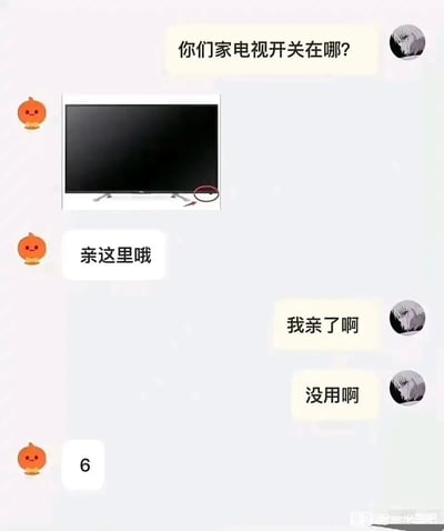 这是一段充满趣味的聊天记录截图，用户向客服询问电视开关的位置，客服使用行业常用的称呼“亲”来引导用户看指示的开关位置，用户却将“亲”误解为亲吻的动作，真的去亲吻了电视上被圈出的位置，之后反馈亲了也没用，客服最终回复“6”来表达无语的情绪。整个对话利用了“亲”字的双关含义，制造出了强烈的反差笑点，十分诙谐。