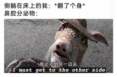 这是一张结合影视截图与原创文字的搞笑梗图，上方文字构建了生活场景：“侧躺在床上的我：*翻了个身* 鼻腔分泌物：”，下方是截取的科幻电影中的外星生物画面，该生物戴着破旧帽子，面部纹理粗糙，留着白色胡须，表情急切又带着坚定，伸出爪子身体前倾，配文“我必须到另一边去”，同时配有英文翻译“I must get to the other side”。图片采用拟人化的手法，将人侧躺翻身时，鼻腔分泌物（鼻涕）会自然流向另一侧的生活小细节，通过外星生物的台词夸张地呈现出来，把日常生理现象转化为有明确“目标”的行动，精准戳中人们生活中这个尴尬又好笑的小瞬间，制造出强烈的滑稽感与共鸣感。