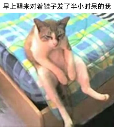这是一张利用视觉错位效果制作的搞笑表情包，画面中猫的上半身与床边人类的腿部恰好重合，看起来仿佛这只猫长了人的双腿，它眼神呆滞、无精打采地坐在床边，配上文字“早上醒来对着鞋子发了半小时呆的我”，精准还原了很多人清晨刚睡醒时，大脑还未完全清醒、茫然发呆的迷糊状态，用怪异又滑稽的画面，生动表现出起床后的慵懒、失神的日常情绪。