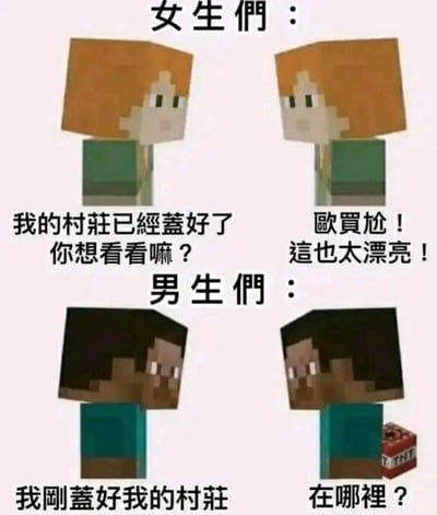 这是一张以沙盒游戏《我的世界》角色为素材创作的对比梗图，整体分为上下两个板块，分别展现女生群体和男生群体在游戏中的互动差异。上半部分是两名女性角色爱丽克丝的互动：一名角色兴奋地邀请同伴参观自己建好的村庄，另一名角色则发出由衷的赞叹；下半部分是两名男性角色史蒂夫的互动：一名角色告知同伴自己刚建好村庄，另一名角色则疑惑地询问村庄位置，其身旁还摆放着游戏中的TNT道具，暗指部分男性玩家会用TNT炸毁他人建筑的常见玩法，通过这种反差对话调侃男女玩家在游戏社交行为和心态上的不同，制造出搞笑的效果。